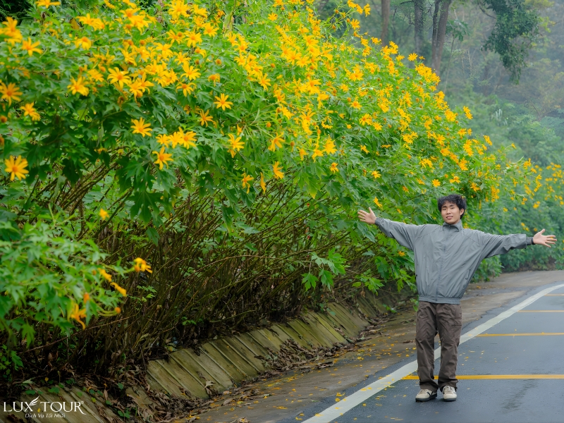 dia-diem-du-xuan-dau-nam-gan-ha-noi-7.jpg (571 KB)