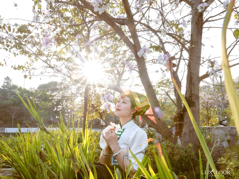 dien-bien-thang-3-4.jpg (521 KB)