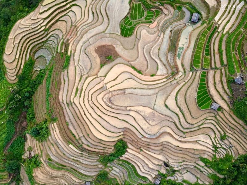 ha-giang-mua-nuoc-do-2.jpg (138 KB)