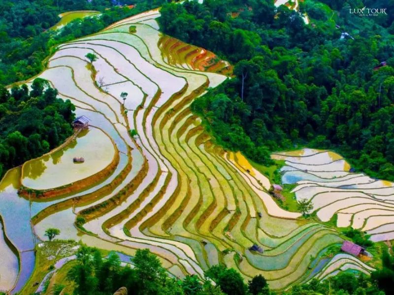 ha-giang-mua-nuoc-do-thong-nguyen.jpg (114 KB)