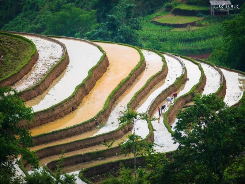 ha-giang-mua-nuoc-do.jpg (115 KB)