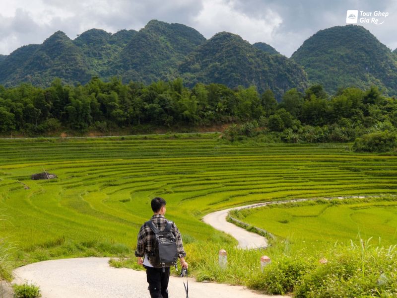 ban-don-pu-luong-thang-4.jpg (96 KB)