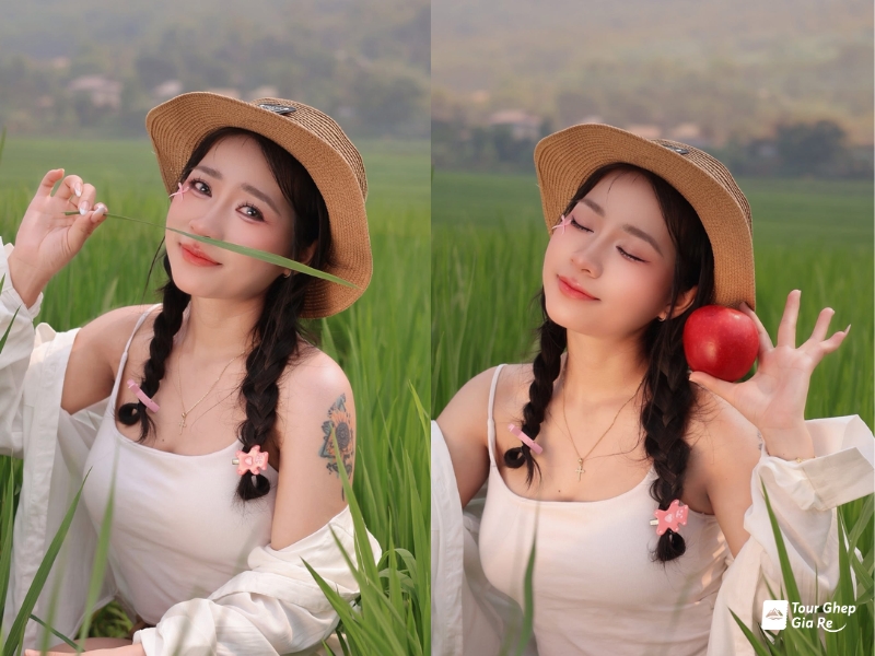 Pù Luông tháng 5 - Mùa săn lúa chín vàng đẹp nhất