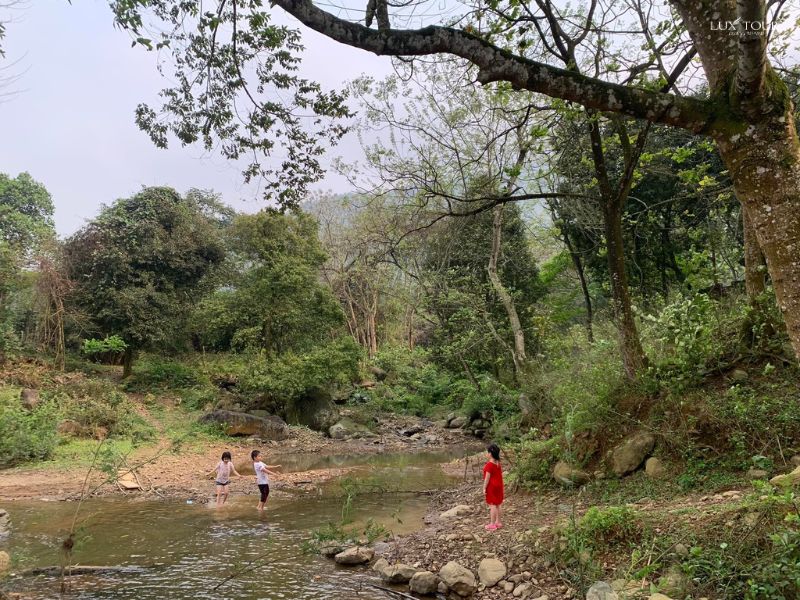 suoi-ngoc-vua-ba-3.jpg (162 KB)