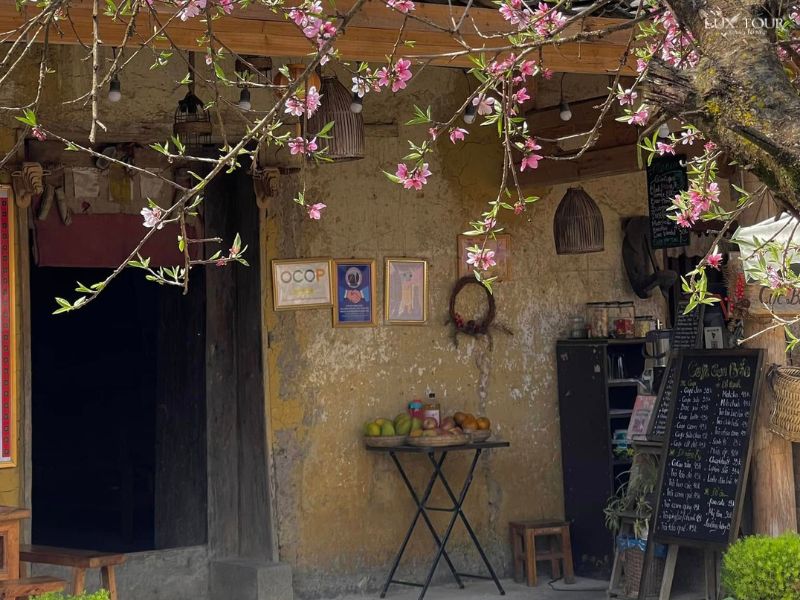 ta-su-choong-mua-hoa-dao.jpg (111 KB)