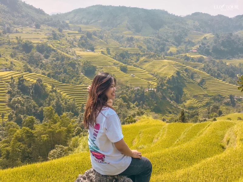 ta-su-choong-mua-lua-chin.jpg (120 KB)