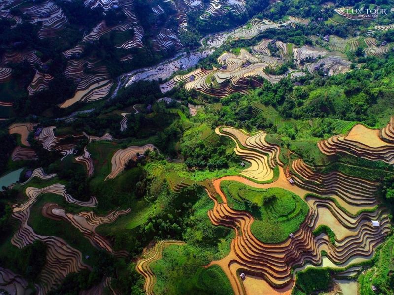 ta-su-choong-mua-nuoc-do.jpg (136 KB)