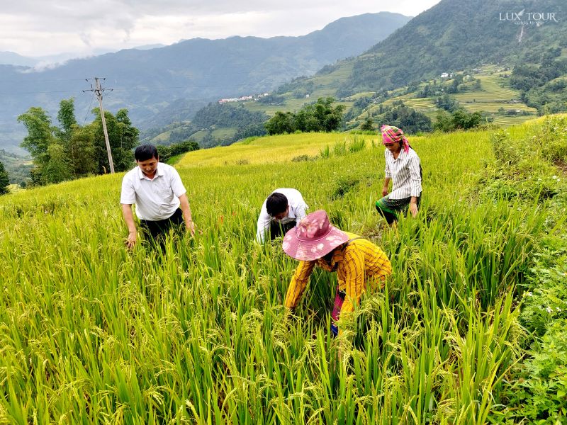 ta-su-choong-nguoi-dan-xuong-ruong.jpg (166 KB)