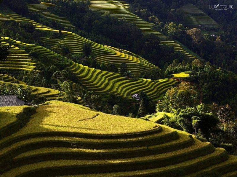 ta-su-choong-ruong-bac-thang-2.jpg (122 KB)