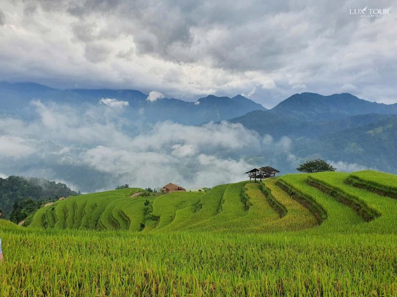 ta-su-choong-san-may.jpg (87 KB)