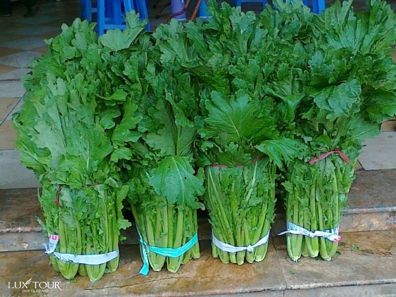 an-gi-o-sapa-7.jpg (176 KB)