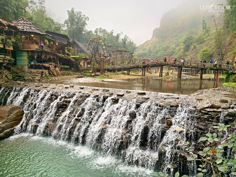 ban-cat-cat-1.jpg (235 KB)