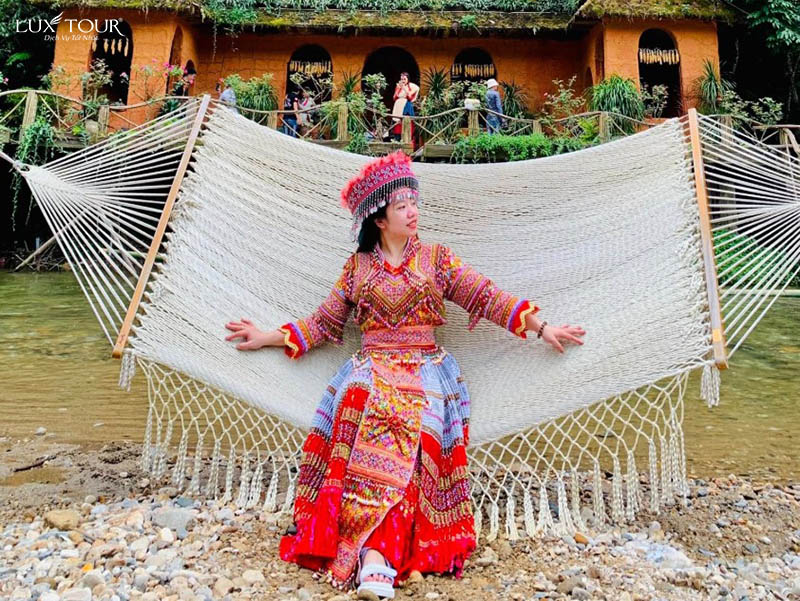 ban-cat-cat-2.jpg (186 KB)