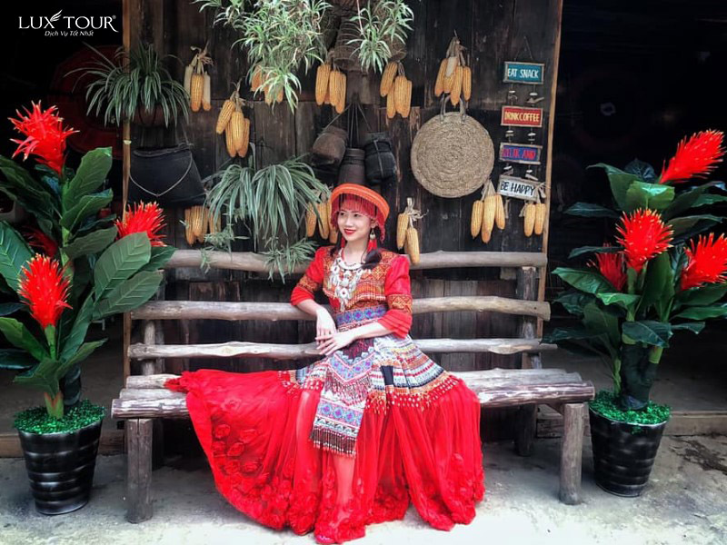 ban-cat-cat-3.jpg (184 KB)