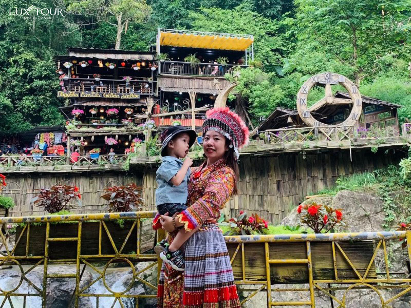 ban-cat-cat-4.jpg (259 KB)