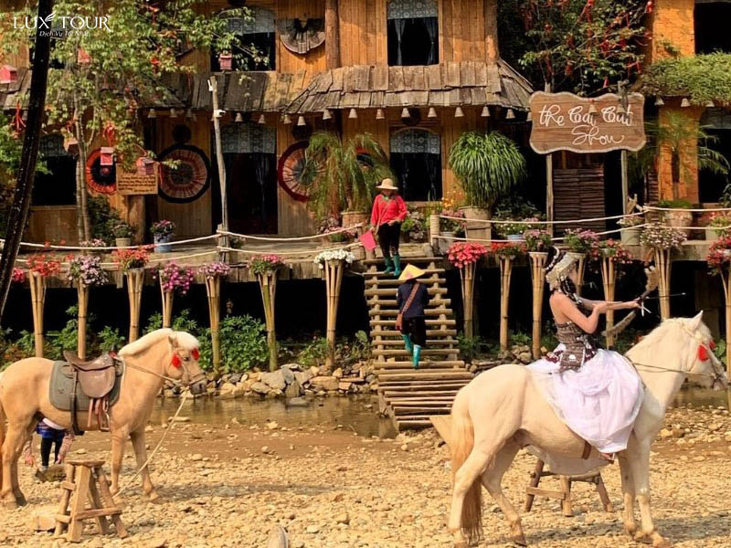 ban-cat-cat-6.jpg (166 KB)