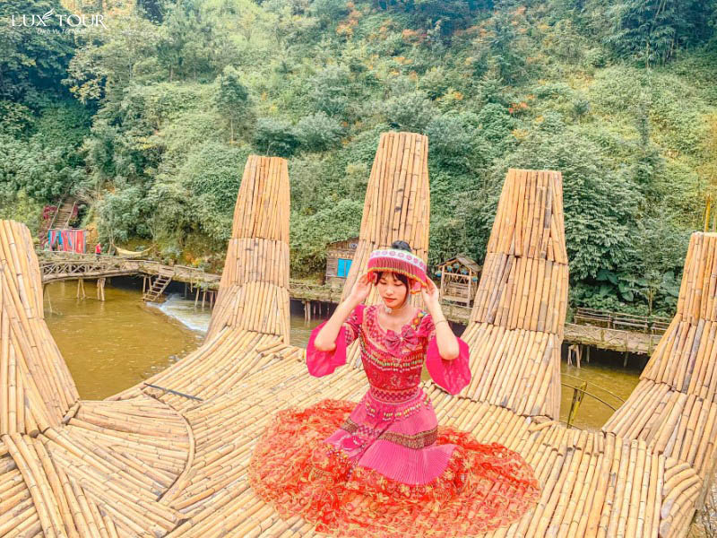 ban-cat-cat.jpg (186 KB)