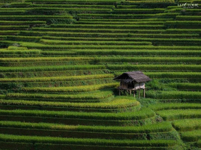 ban-lao-chai-sapa-co-gi.jpg (125 KB)