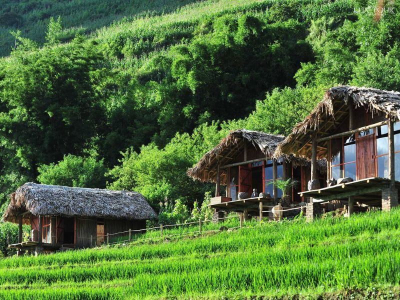 homestay-ban-lao-chai-sapa.jpg (180 KB)