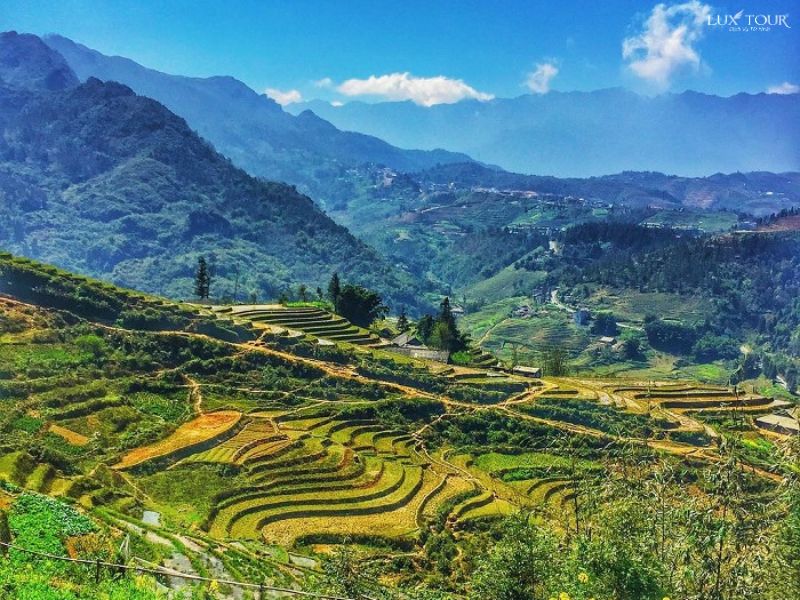 ban-sau-chua-sapa-2.jpg (134 KB)