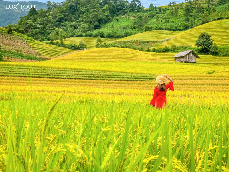 ban-sin-chai-2.jpg (191 KB)