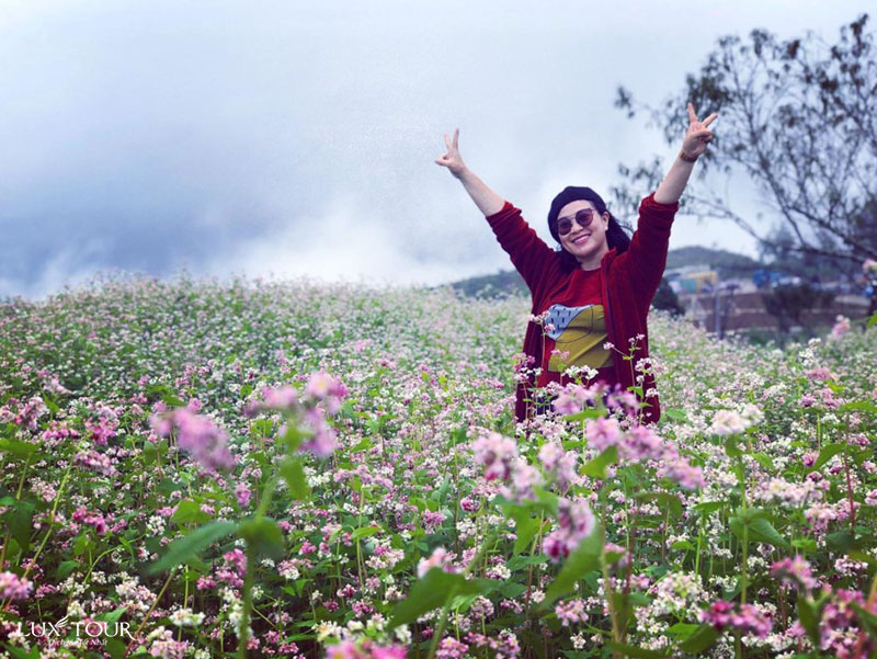 ban-sin-chai-3.jpg (175 KB)