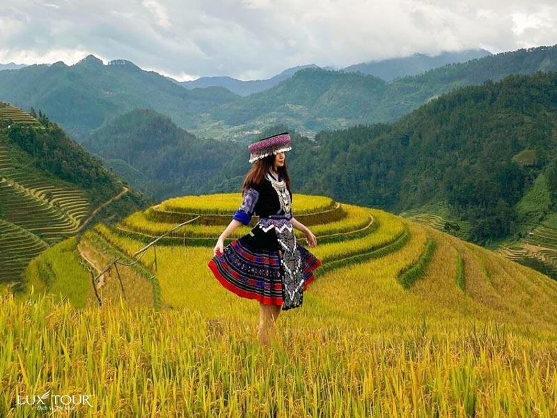 ban-sin-chai-6.jpg (131 KB)