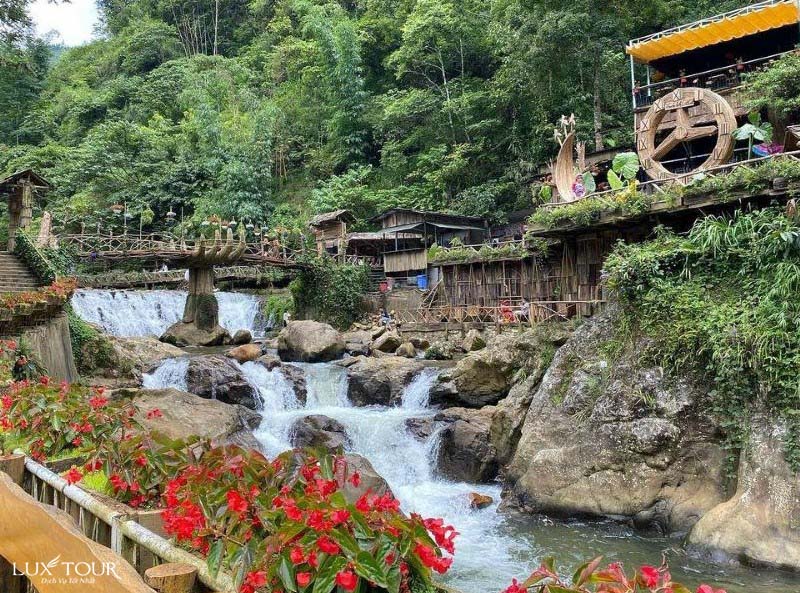 ban-sin-chai-9.jpg (191 KB)