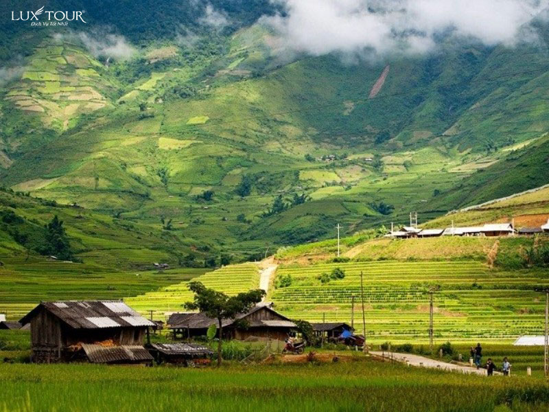 ban-sin-chai.jpg (178 KB)