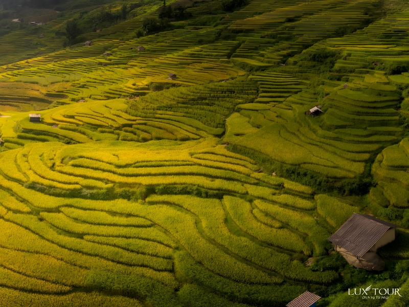 ban-ta-phin-1.jpg (512 KB)