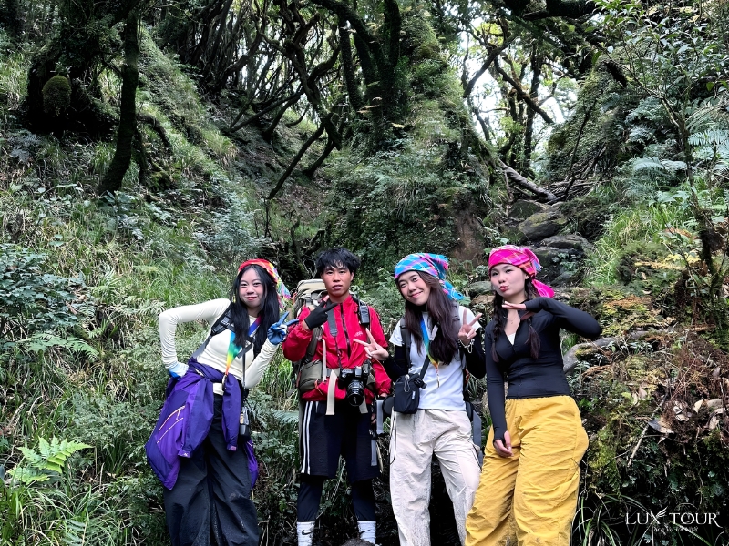 ban-ta-phin-4.jpg (656 KB)