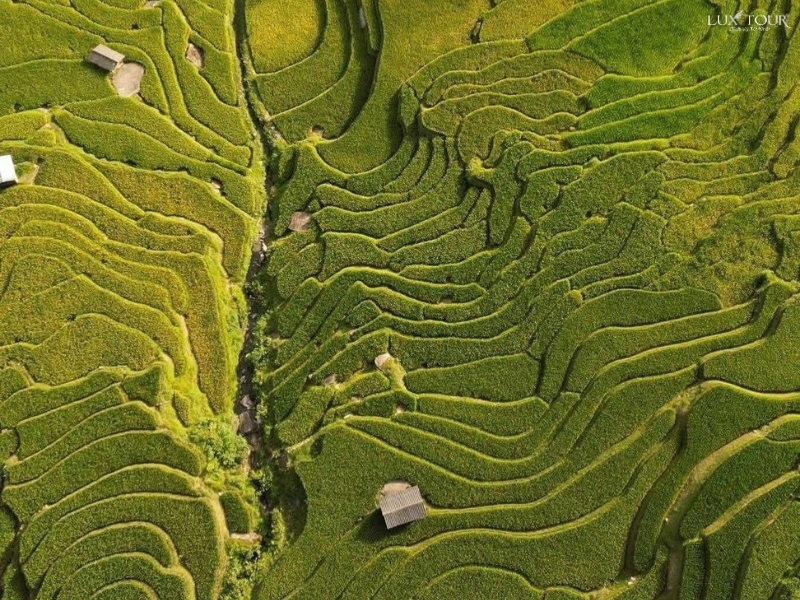 ruong-bac-thang-ban-ta-van.png (1.03 MB)