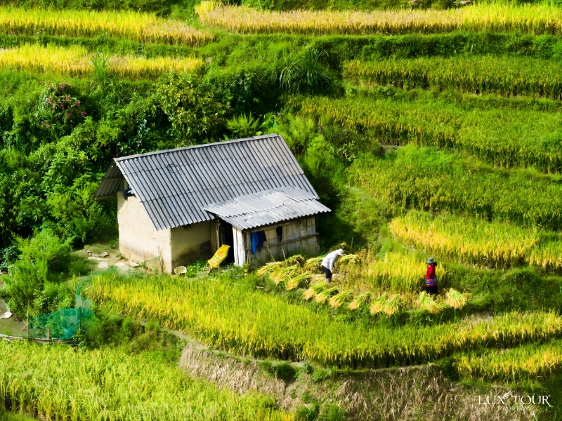 ban-y-linh-ho-1.jpg (626 KB)