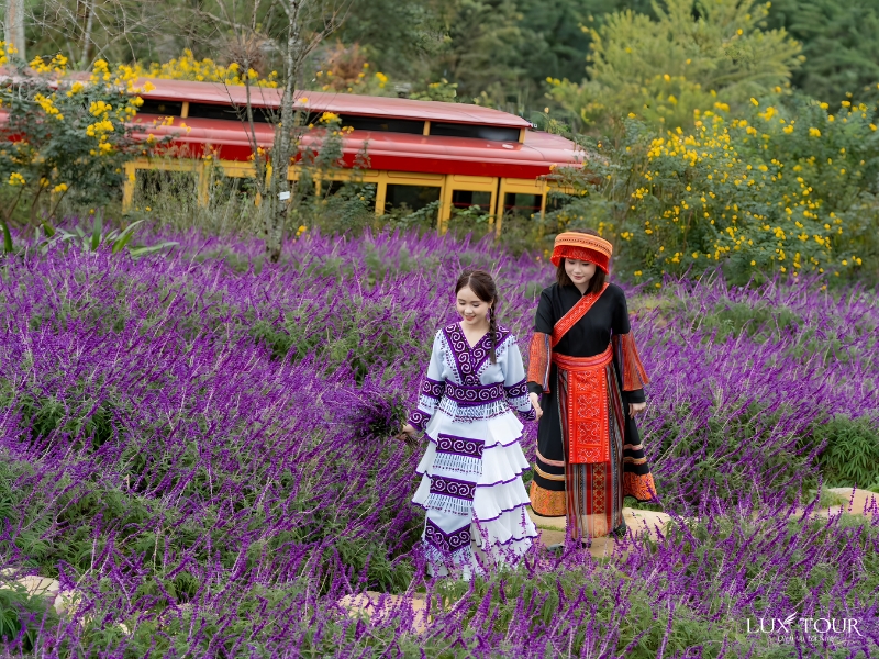 dia-diem-check-in-sapa-12.jpg (621 KB)