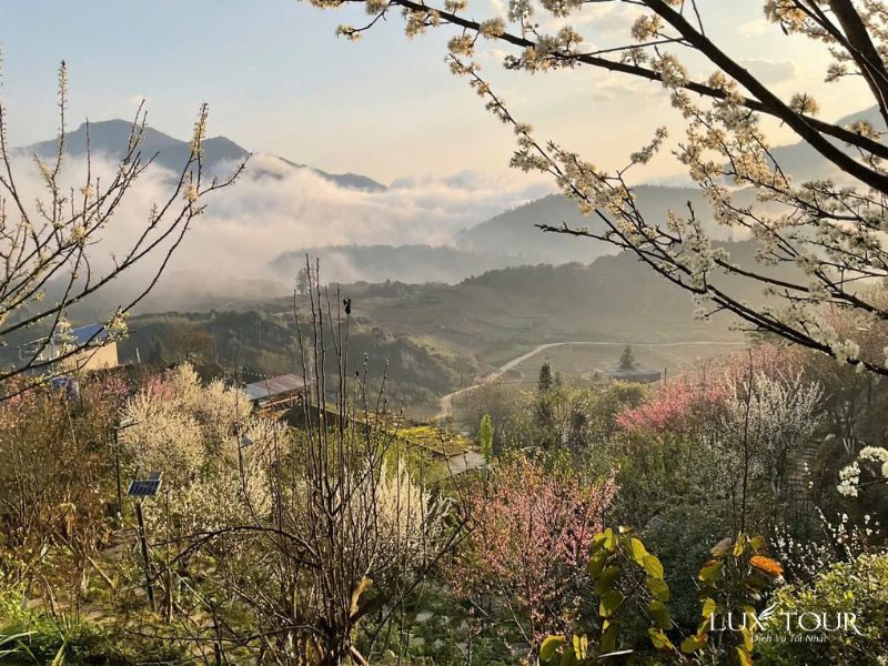 dia-diem-du-lich-sapa-16.jpg (139 KB)