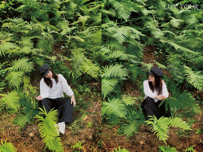 dia-diem-du-lich-sapa-5.jpg (180 KB)