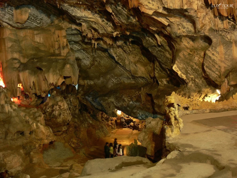 dong-coc-san-2.png (794 KB)