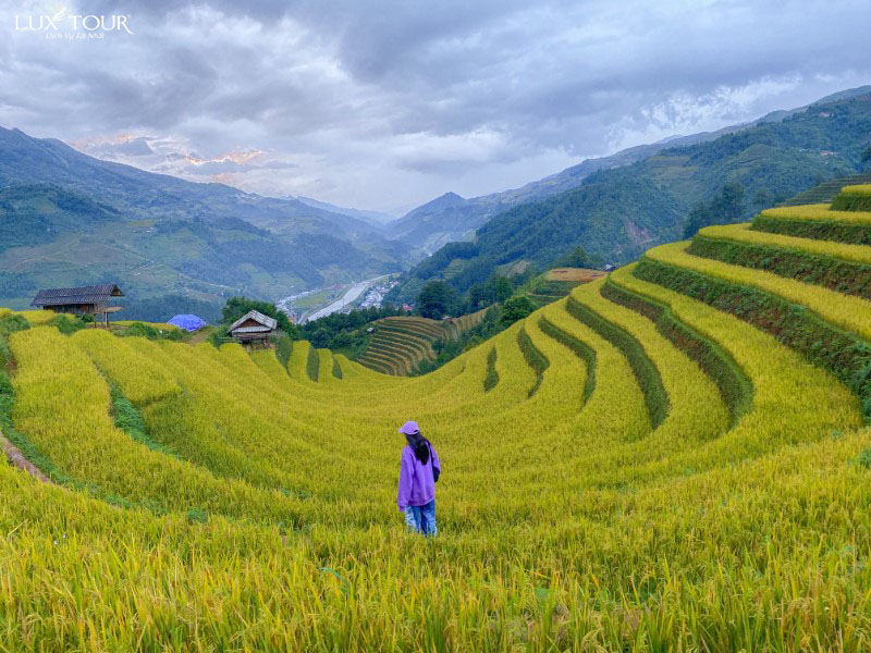 du-lich-sapa-10.jpg (161 KB)