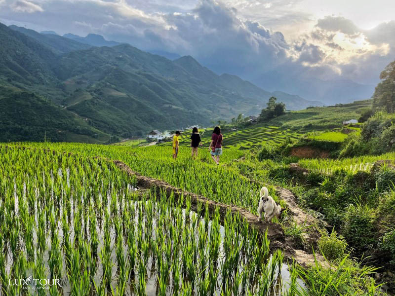 du-lich-sapa-2.jpg (161 KB)