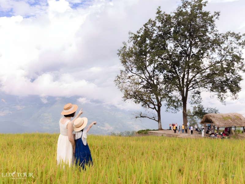 hau-thao-5.jpg (178 KB)