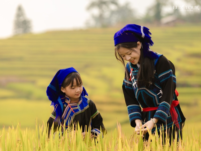 hau-thao-7.jpg (111 KB)