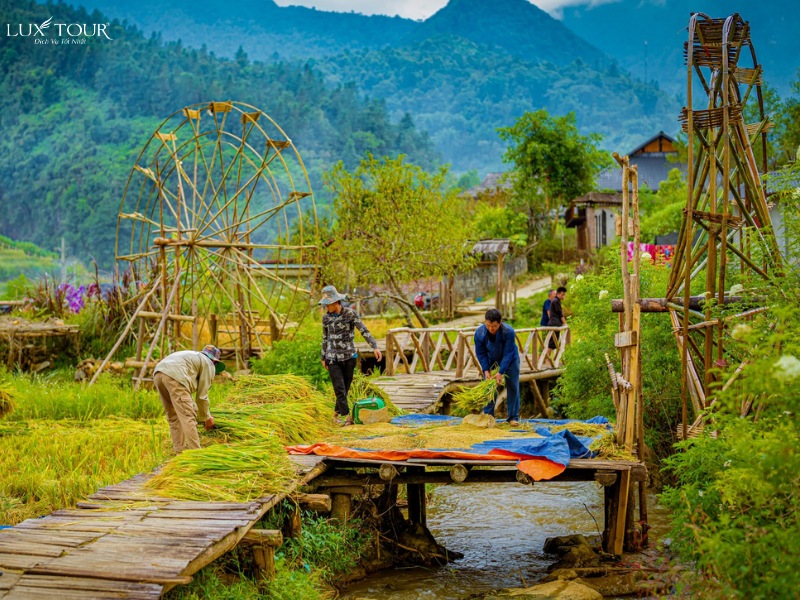 hau-thao-9.jpg (245 KB)