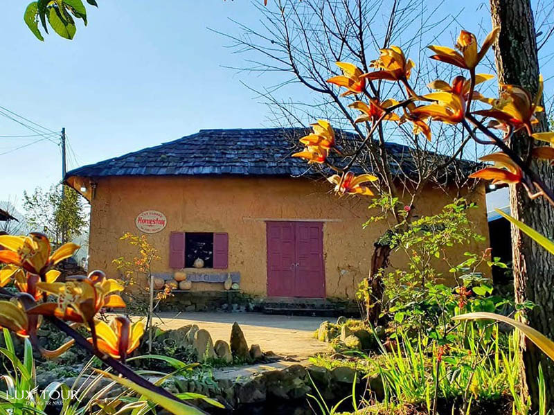 homestay-y-ty.jpg (174 KB)