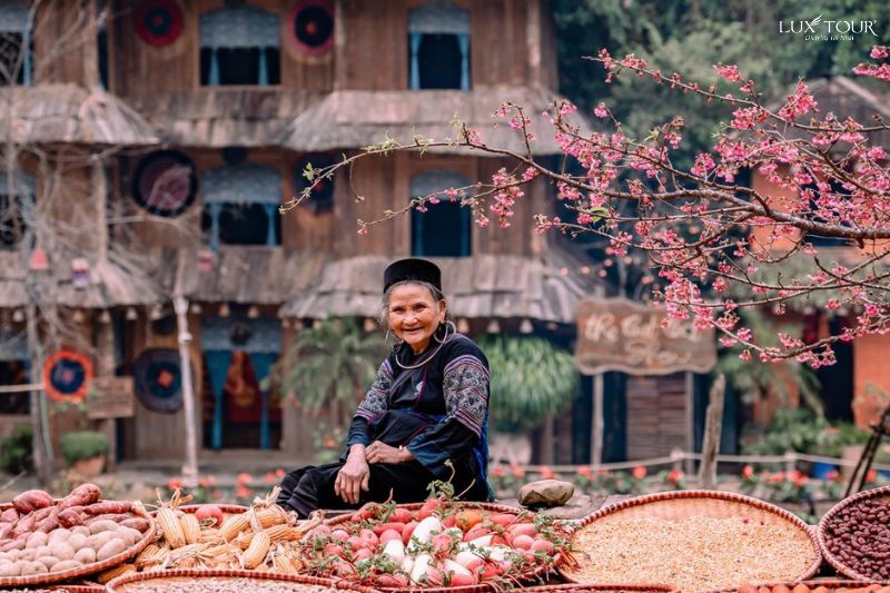 ban-cat-cat-mua-hoa-anh-dao-sapa.jpg (108 KB)