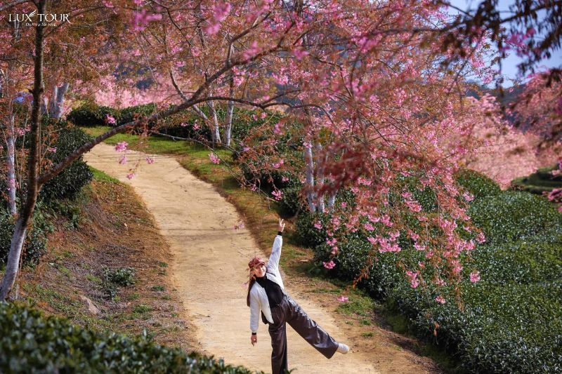 dia-diem-ngam-mua-hoa-anh-dao-sapa.jpg (149 KB)