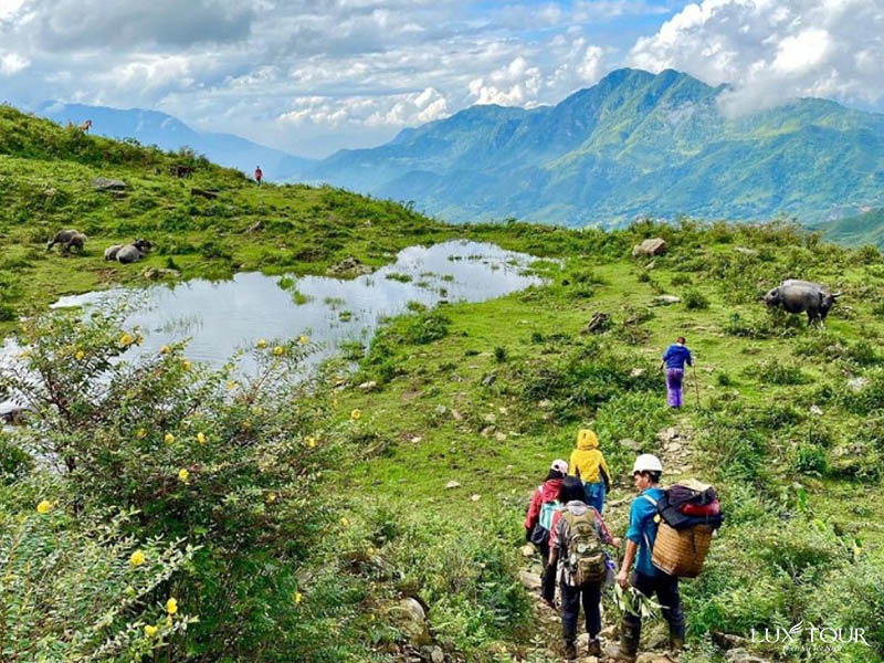 ngu-chi-son-4.jpg (170 KB)