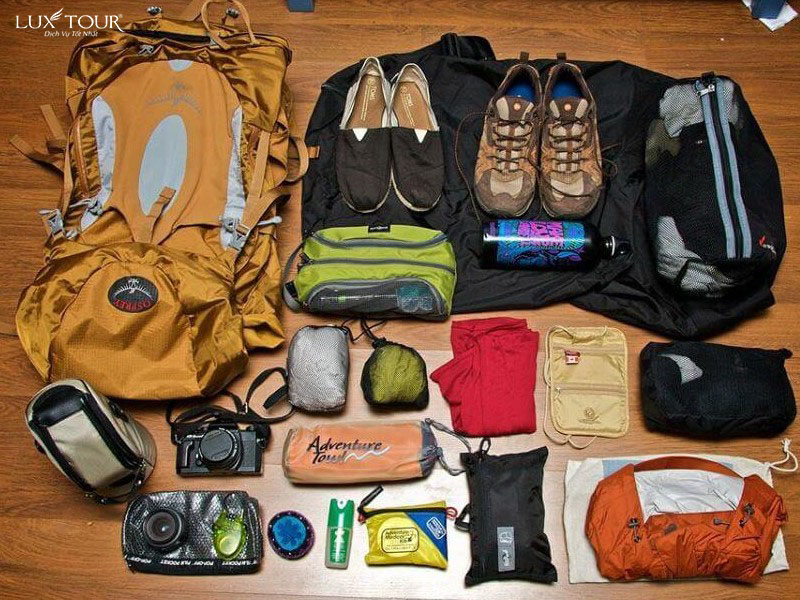 ngu-chi-son-5.jpg (184 KB)