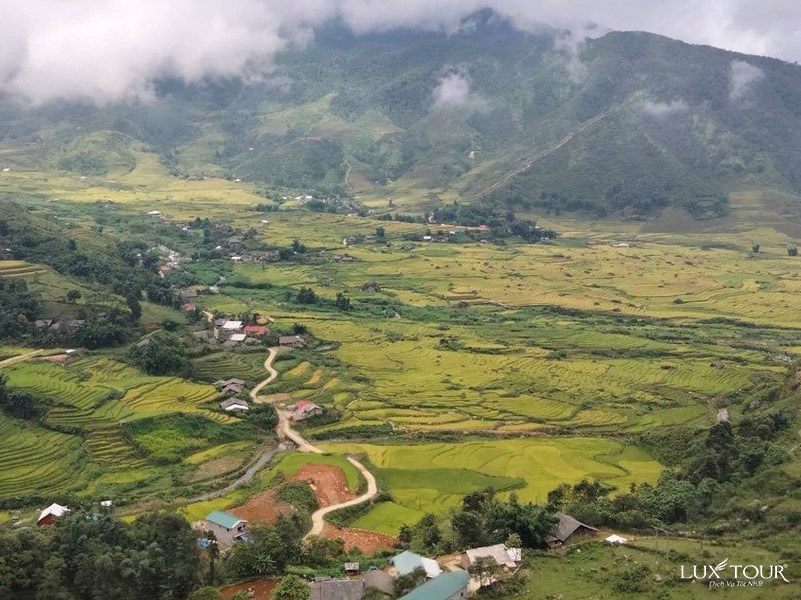 ngu-chi-son-6.jpg (187 KB)