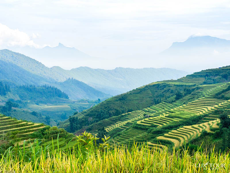 phuot-y-ty-8.jpg (122 KB)