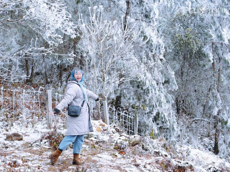 sapa-co-tuyet-khong-1.jpg (174 KB)